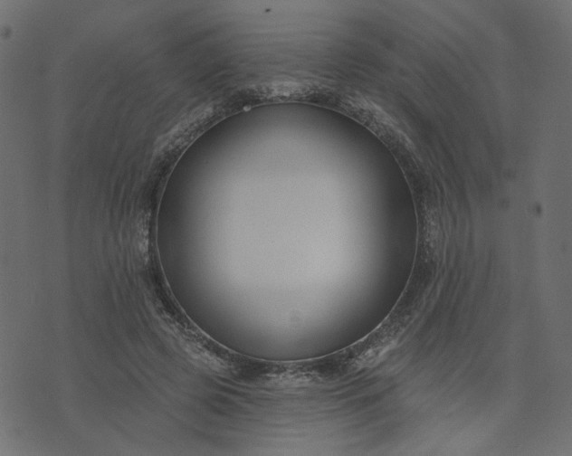 X0000073710545200608171141