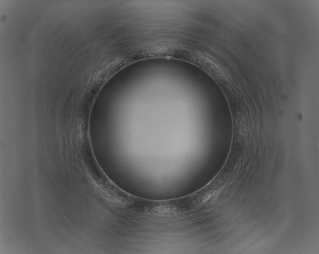 X0000073710546200608171141