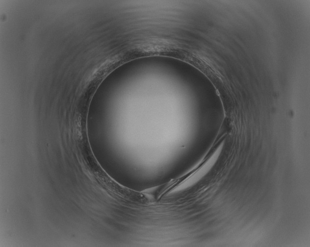 X0000073710547200608171141