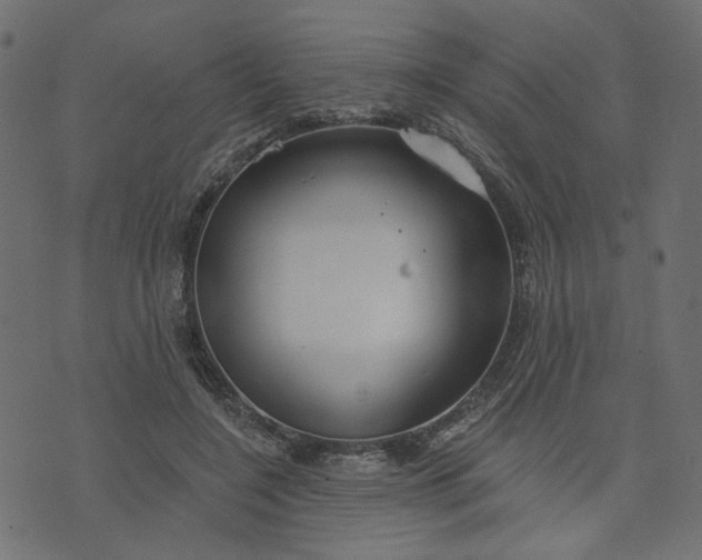 X0000073710548200608171141