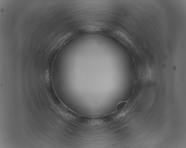 X0000073710549200608171141