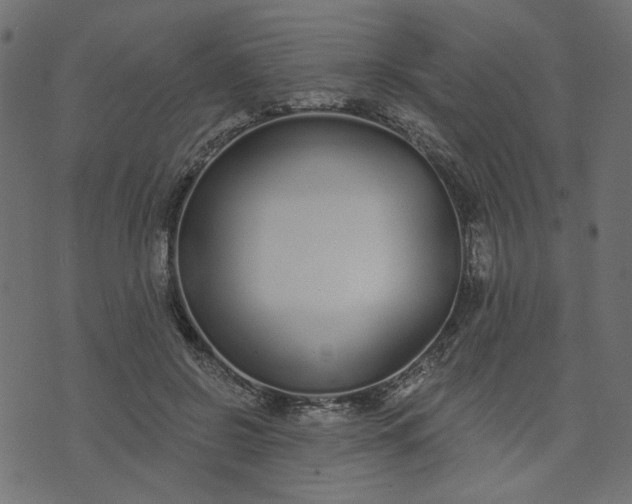 X0000073710550200608171141