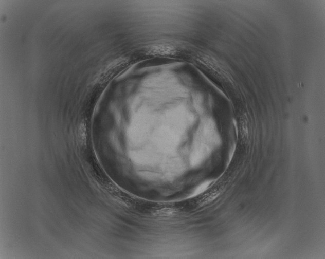 X0000073710551200608171141