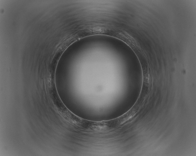 X0000073710552200608171141