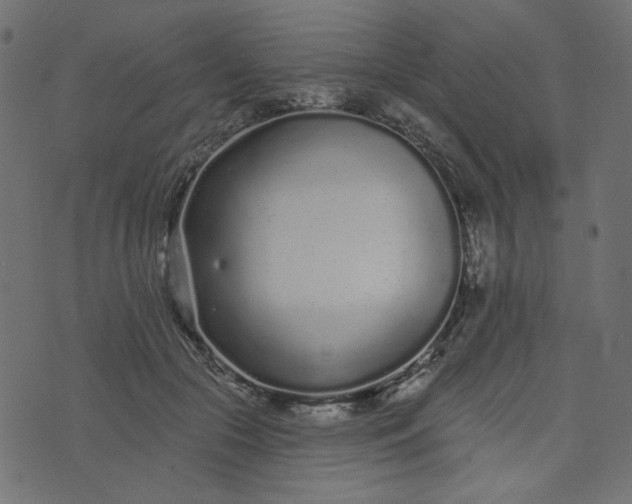 X0000073710553200608171141