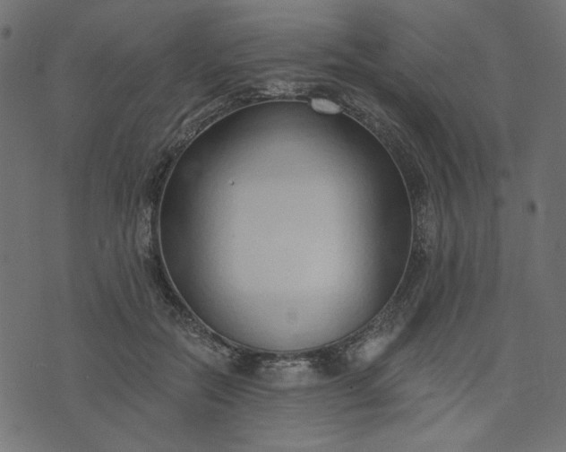 X0000073710554200608171141