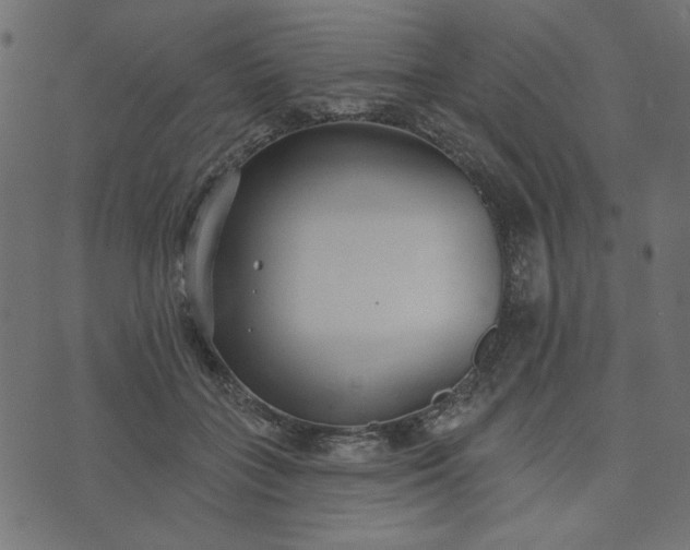 X0000073710555200608171141