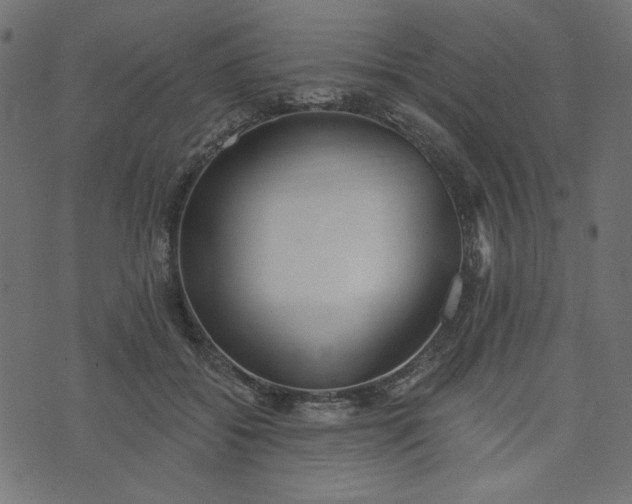 X0000073710556200608171141