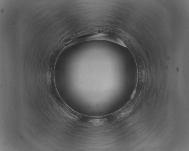 X0000073710558200608171141