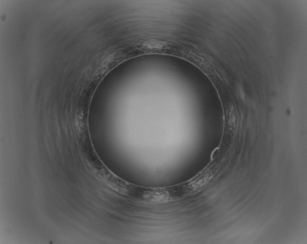 X0000073710559200608171141