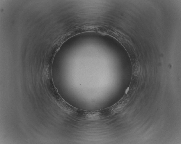 X0000073710560200608171141