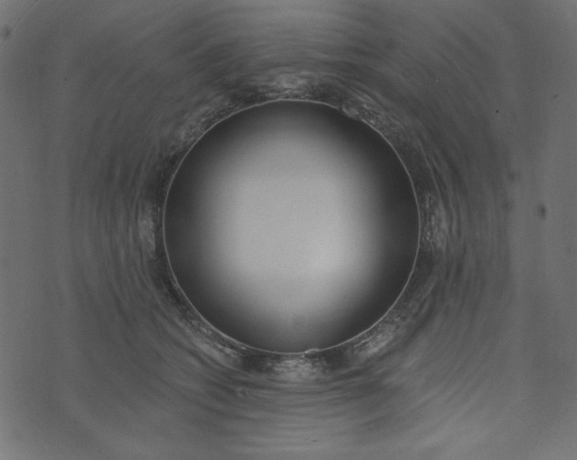 X0000073710562200608171141