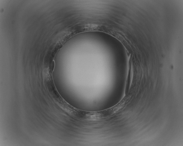 X0000073710564200608171141