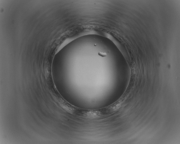 X0000073710566200608171141