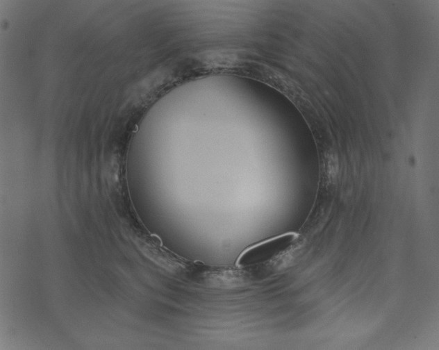 X0000073710567200608171141