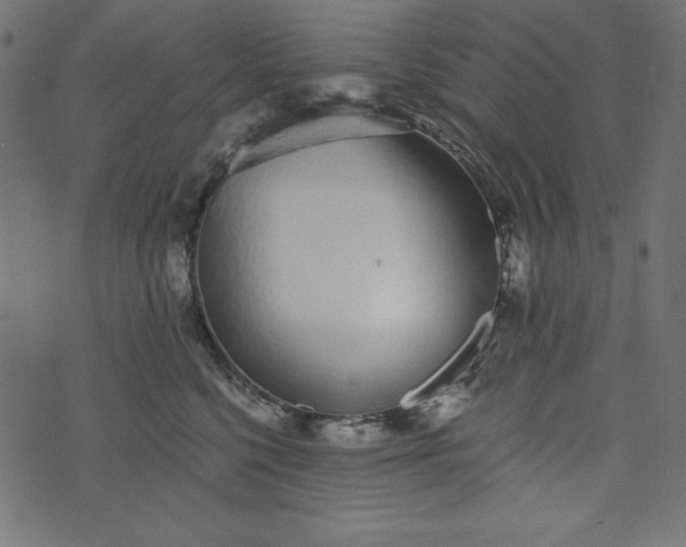 X0000073710568200608171141