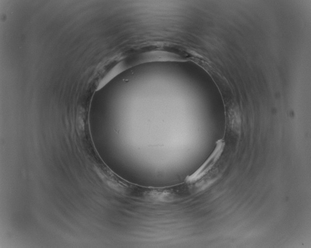 X0000073710570200608171141