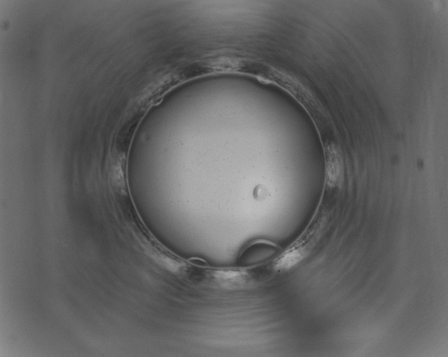 X0000073710573200608171141