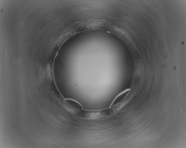 X0000073710575200608171141