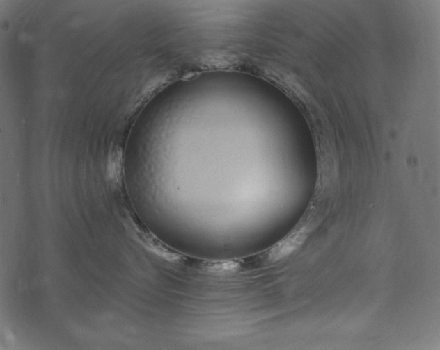 X0000073710576200608171141