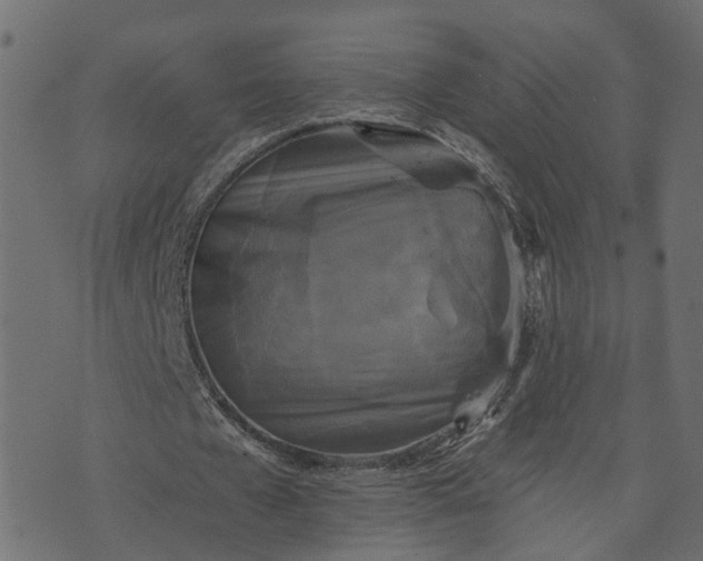 X0000073710577200608171140