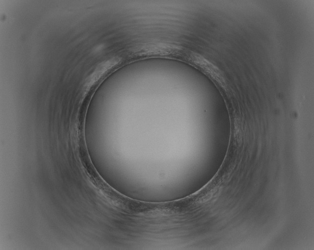 X0000073710578200608171140