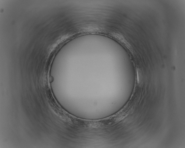 X0000073710579200608171140