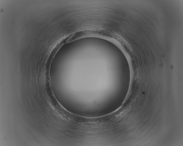 X0000073710580200608171140