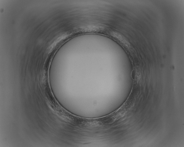 X0000073710583200608171140