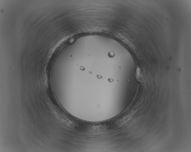 X0000073710584200608171140