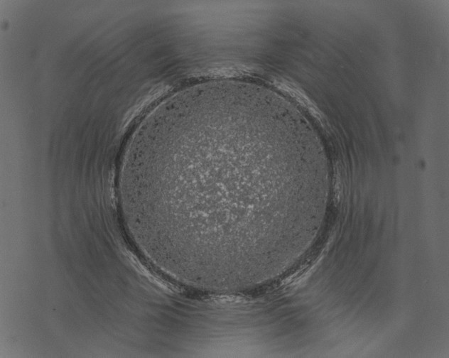 X0000073710585200608171140