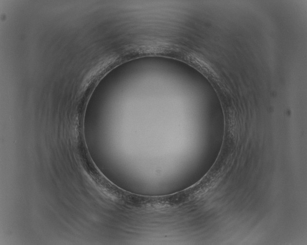 X0000073710586200608171140