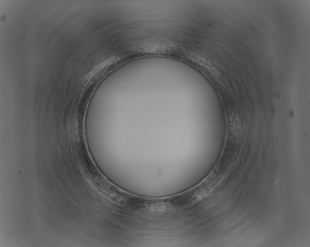 X0000073710587200608171140