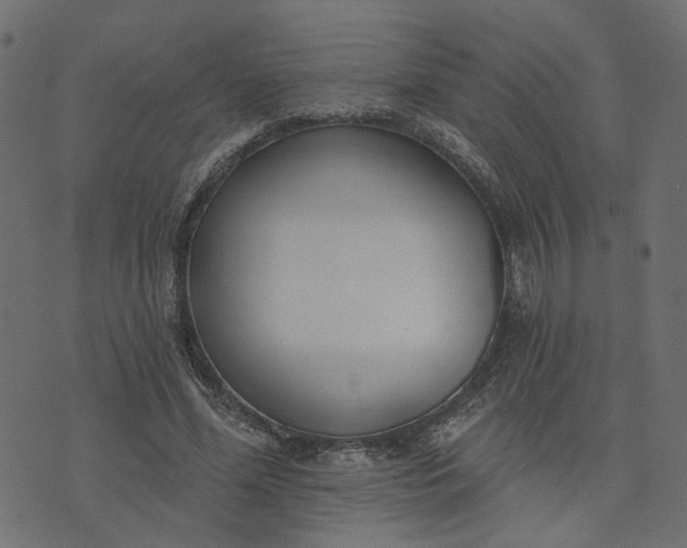 X0000073710588200608171140