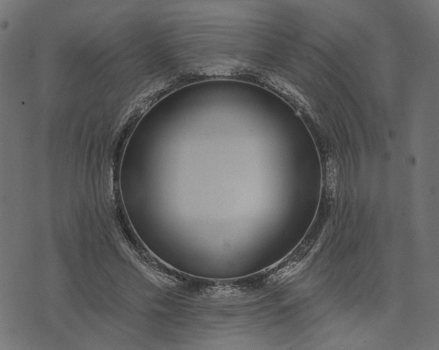 X0000073710589200608171140