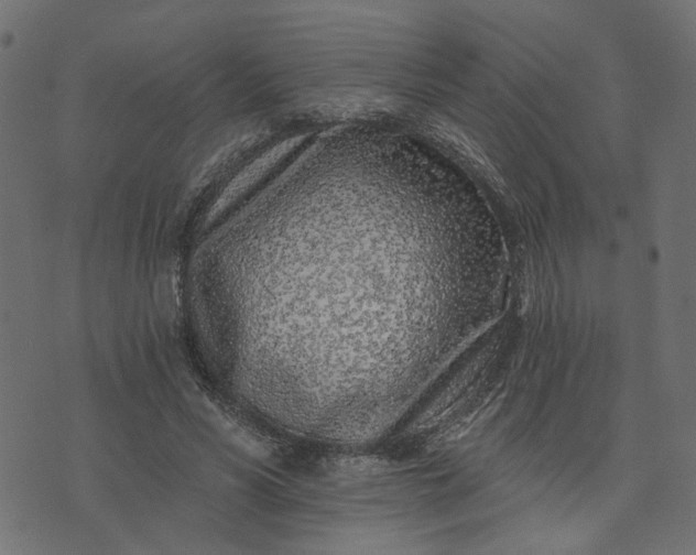 X0000073710590200608171140