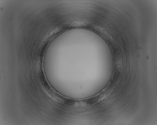 X0000073710591200608171140