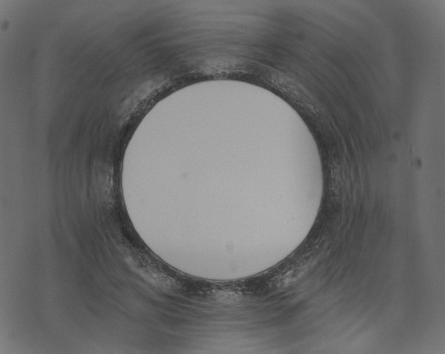 X0000073710592200608171140