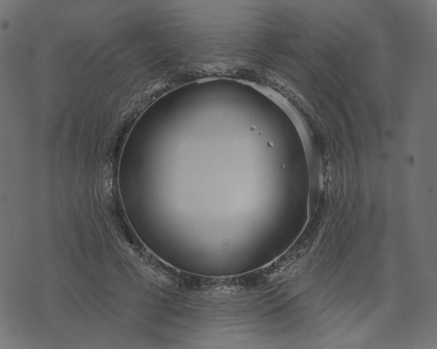 X0000073710593200608171140