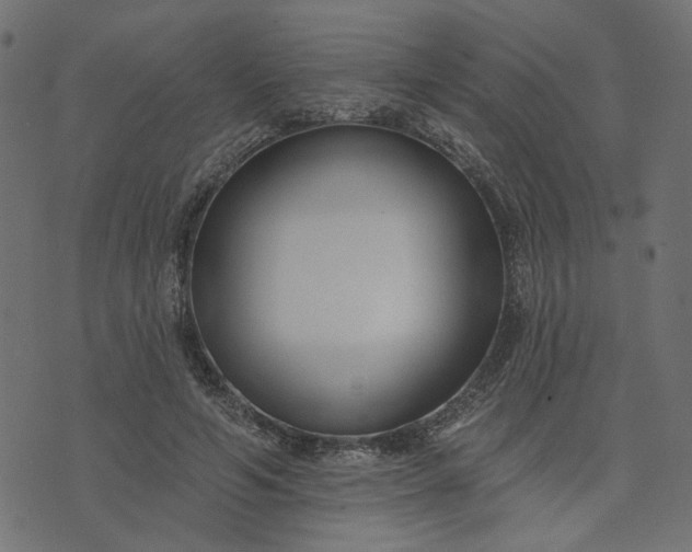 X0000073710594200608171140