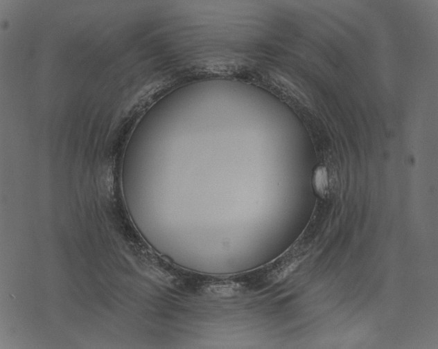 X0000073710595200608171140