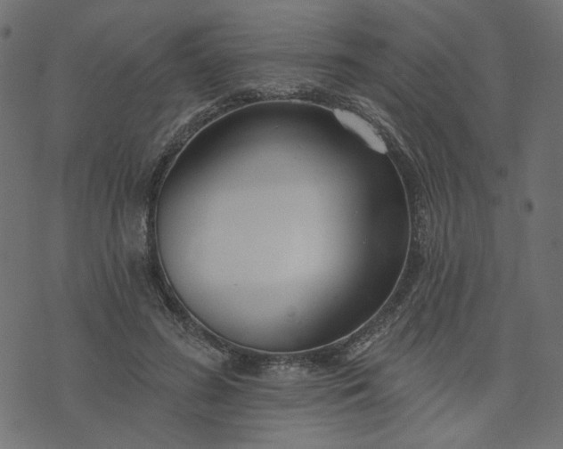 X0000073710596200608171140