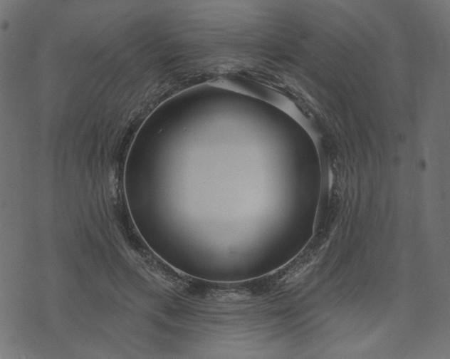 X0000073710597200608171140