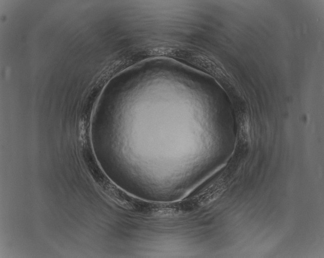 X0000073710598200608171140