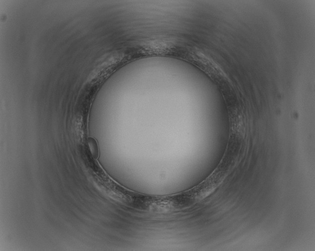 X0000073710599200608171140