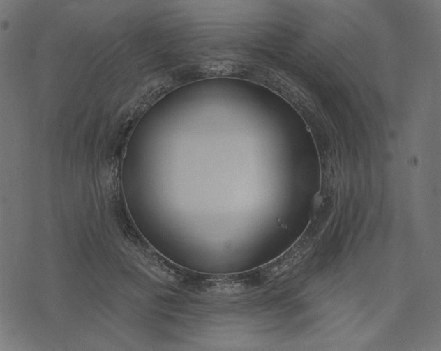 X0000073710601200608171140