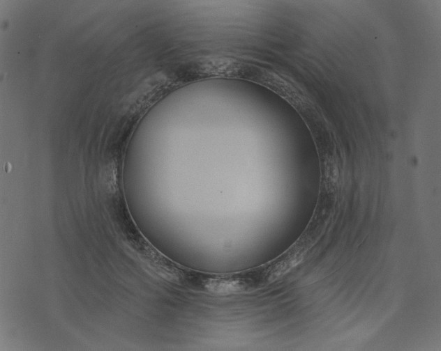 X0000073710602200608171140