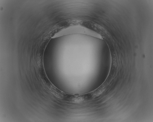 X0000073710604200608171140