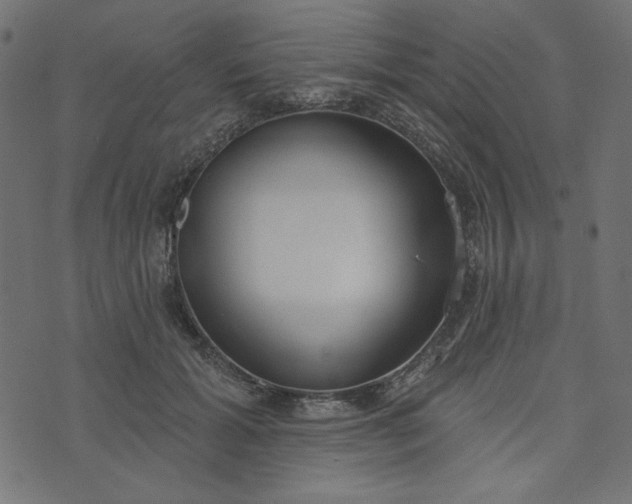 X0000073710605200608171140