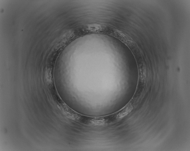 X0000073710606200608171140